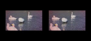 Screenshot_20250824_153531_SBS 2D Player VR