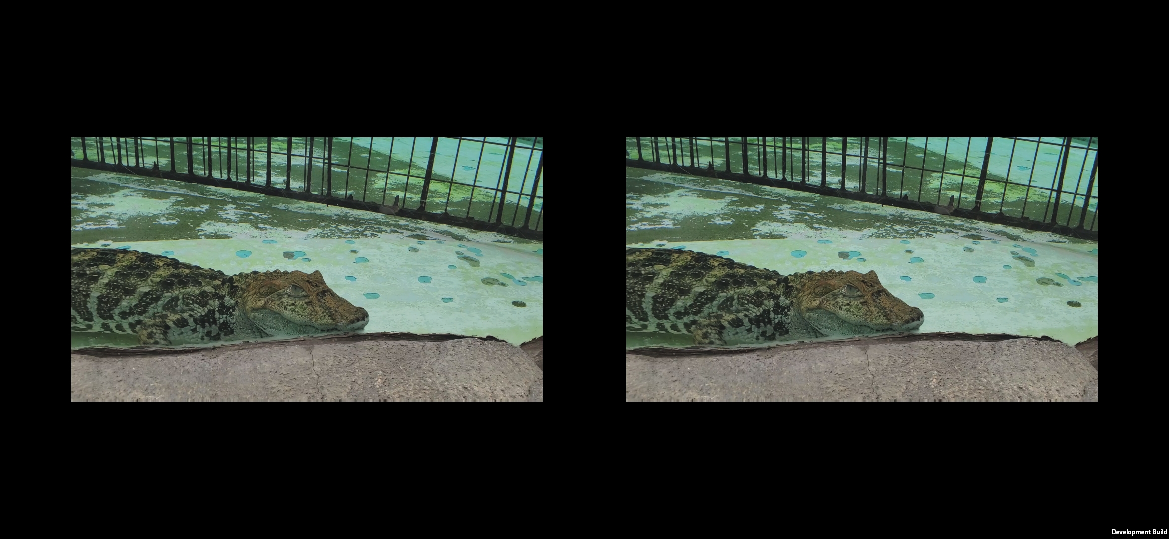 SBS 2D Player VR
